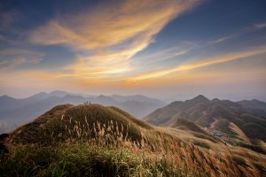 Autumn’s soft promise